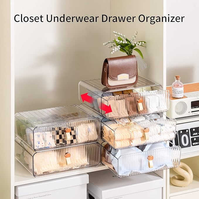 Underwear Drawer Organizer, Stackable Bra Organizer for Closet, 1 Cell Bra Storage, Sock and Underwear Organizer, Closet Organizers and Storage Drawer for Bra, Socks, Tie, Belt, Scarf-Ruum Studio Home