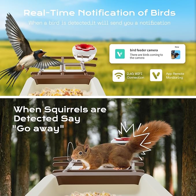 Bird Feeder with Camera, 2K HD Live Video, Smart Bird Cam Solar Powered with AI Birds Species Identification, Auto Capture Video, Instant Arrival Alerts, Best Gifts for Mom Dad-Ruum Studio Home