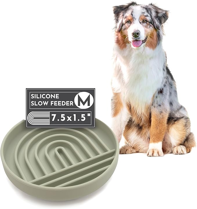The Slowdown Bowl Silicone Slow Feeder for Dogs & Puppies, Slow Eating, Modern Lick Mat Design, Reduces Gulping, Fits 2 Cups 7.5” Across x 1.5” Tall, Mealtime Challenge, Medium-Sage-Ruum Studio Home