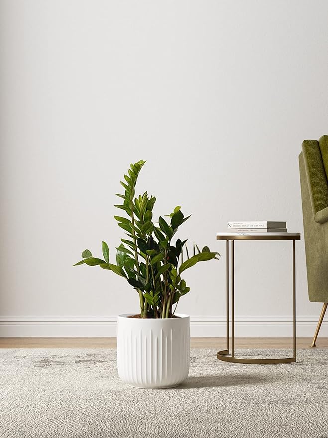 LE TAUCI Fluted Ceramic Planters Set of 3 – 8.3/7 / 5.7 in White Cylinder Indoor Plant Pots with Drainage Plug & Mesh, Matte Glazed Stoneware Flower Pots for Succulent Herb Cactus-Ruum Studio Home