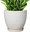 G EPGardening 10 Inch Plant Pot Ceramic Pots for Plants Indoor Outdoor Plant Pots with Drainage Hole and Saucer Round Large Flower Pot for Home Garden Office White-Ruum Studio Home
