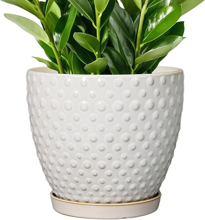 G EPGardening 10 Inch Plant Pot Ceramic Pots for Plants Indoor Outdoor Plant Pots with Drainage Hole and Saucer Round Large Flower Pot for Home Garden Office White-Ruum Studio Home