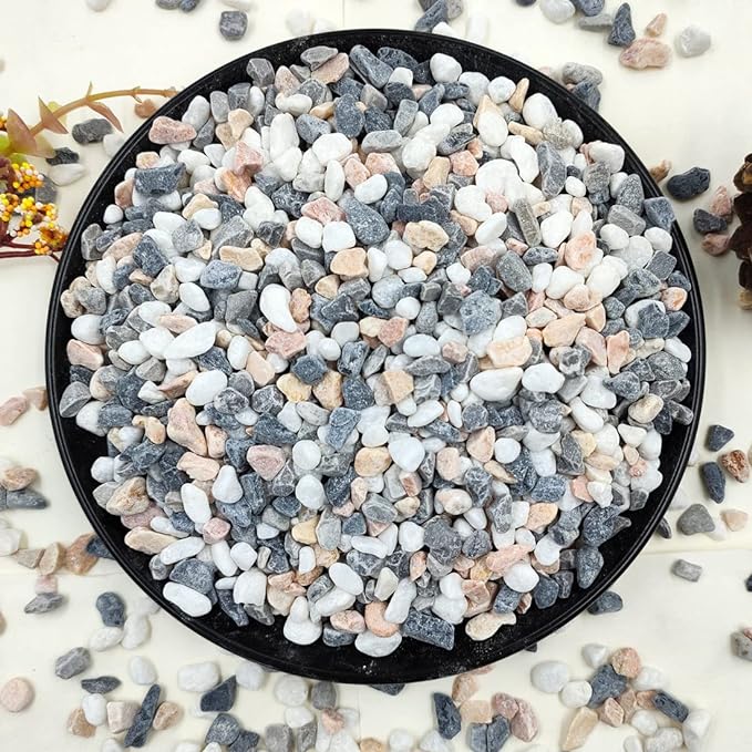 2LB Succulent and Cactus Gravel Pebbles, 1/5 Inch Natural Decorative Polished Stones, River Rocks for Vases, Aquariums, Terrarium and Outdoor Gardening, Mixed Color-Ruum Studio Home