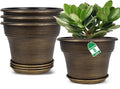 Plant Planters Pots Set of 4 Pack 8 Inch, Plastic Flower Pot for Indoor Plants with Drainage Holes & Trays, Resin Decorative Container Sets with Saucer for House Outdoor Garden Planters Dark Gold-Ruum Studio Home