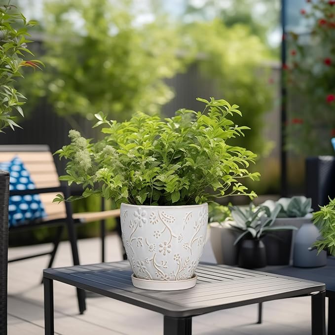 6 Inch Ceramic Plant Pot for Indoor Plants Outdoor Round Planter Flower Pot with Drainage Hole and Saucer for Home Garden Office Decor White-Ruum Studio Home