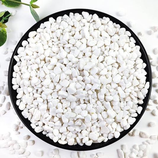 10LB Succulent and Cactus Gravel, 1/5 Inch White Natural Decorative Polished Pebbles for Landscaping, River Rocks for Plants, Vases, Aquariums, Terrarium and Outdoor Gardening-Ruum Studio Home