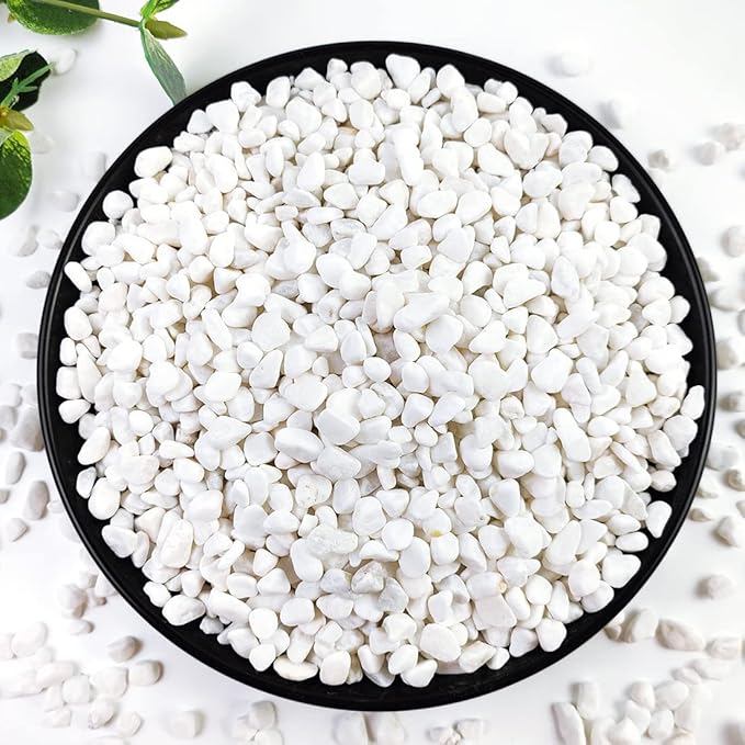 2LB Succulent and Cactus Gravel Pebbles, 1/5 Inch White Natural Decorative Polished Stones, River Rocks for Plants, Vases, Aquariums, Terrarium and Outdoor Gardening,White-Ruum Studio Home