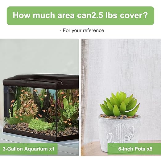 5 lbs Drainage Rocks for Potted Plants, 1/5 Inch Small Pebbles for Indoor Plants, Decorative Gravel for Vases, Bamboo, Succulent, Terrarium, Crafts, Cactus-Ruum Studio Home