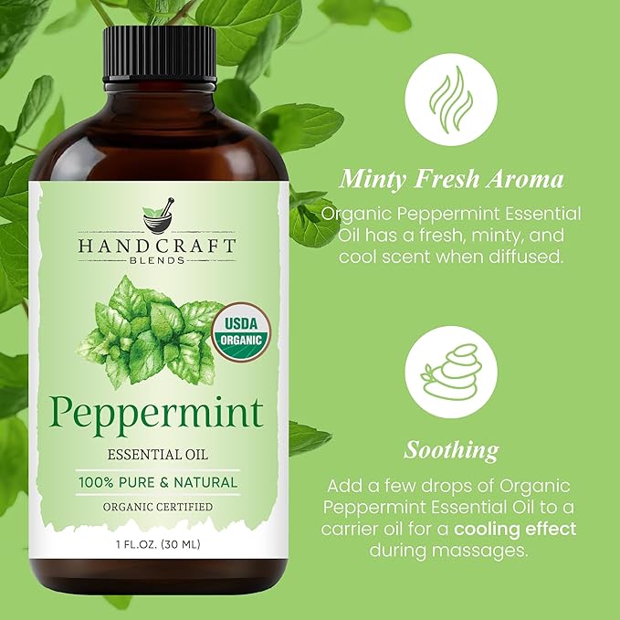 Handcraft Blends Organic Peppermint Essential Oil – 1 Fl Oz – 100% Pure and Natural – Premium Grade Essential Oil for Diffuser and Aromatherapy-Ruum Studio Home