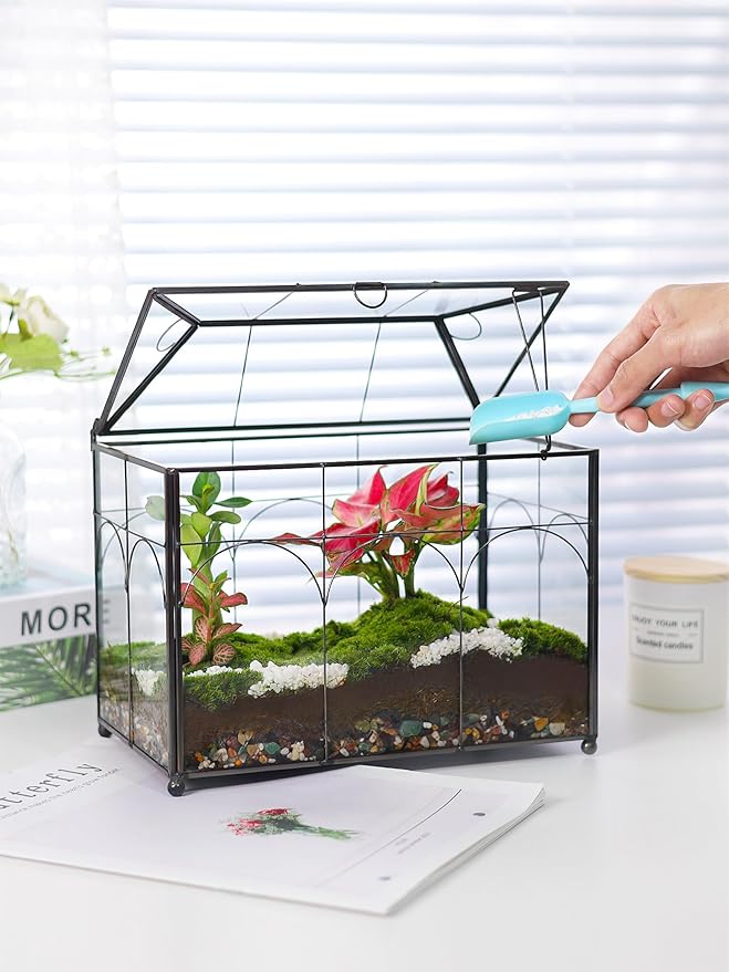 Handmade Glass Planter Terrarium with Lid, Indoor Tabletop Centerpiece Display Box Modern Decor DIY Gift Plant Terrarium Container for Succulent Cacti Air Plants Flower (Black)-Ruum Studio Home