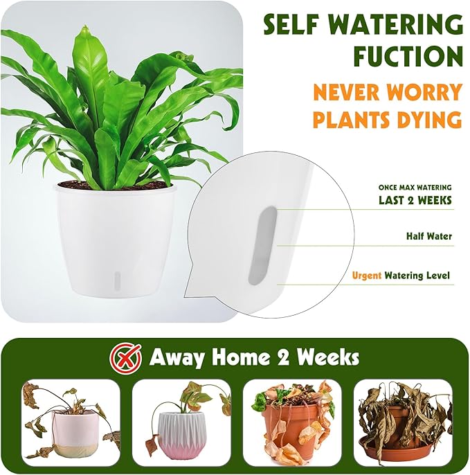 Self Watering Pots for Indoor Plants, 12-Pack 5'' Self Watering Planter with Drainage Holes, Small African Violet Pots with Water Level Indicator, Clear Wick Pot, White/Black-Ruum Studio Home