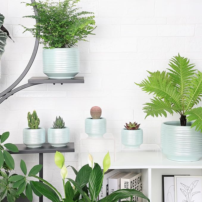 Mini Succulent Planter Set – 3.7 Inch Ceramic Pots with Drainage for Indoor Plants, Small Decorative Flower Pots for Cactus and House Plants, Set of 4-Ruum Studio Home