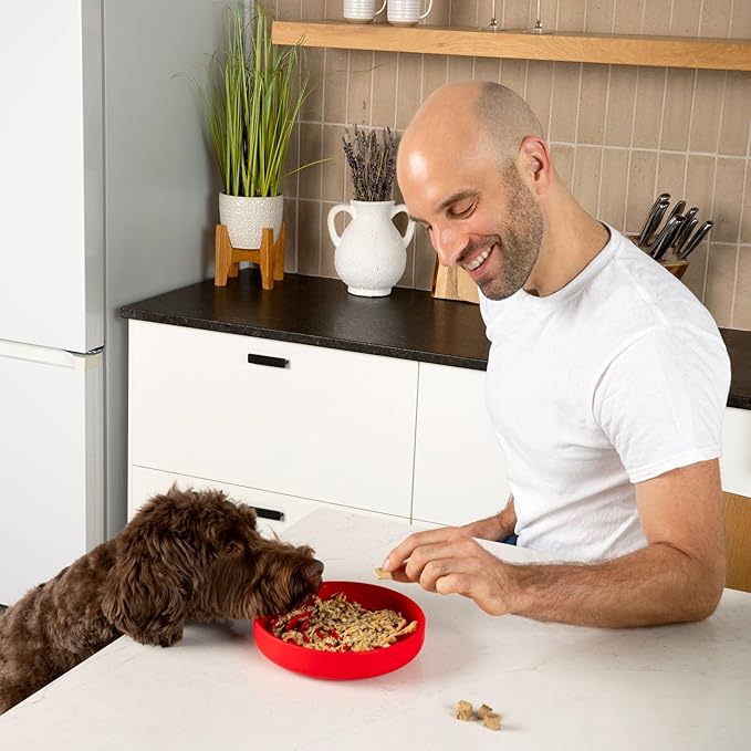 The Slowdown Bowl Silicone Slow Feeder for Dogs & Puppies, Slow Eating, Modern Lick Mat Design, Reduces Gulping, Fits 2 Cups 7.5” Across x 1.5” Tall, Mealtime Challenge, Medium-Cherry-Ruum Studio Home