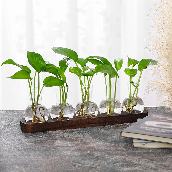 YIBOT Plant Propagation Stations,Glass Propagation Vases for Plants Terrarium with Wooden Tray Plant Lover Gifts for Propagating Hydroponic Plants Home Office Decor(5 Vase)-Ruum Studio Home