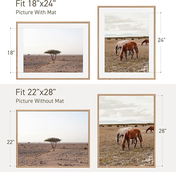 22x28 Poster Frame Set of 2 Natural Solid Oak Photo Frames with 18x24 Removable Mat Wall Hanging Large Handcrafted Frame with HD Plexiglass Wall and Tabletop Display Large Picture Frame-Ruum Studio Home