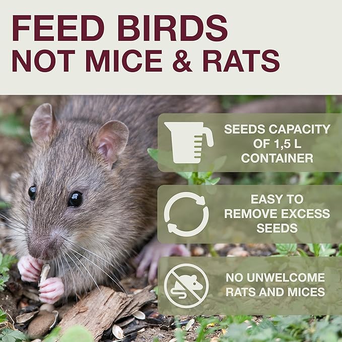 SWISSINNO No Mess Bird Feeder Lucerne Smart Birds for Fat Balls - Feed Birds, not mice & Rats! Robust & Reliable for Hanging - Light Grey-Ruum Studio Home