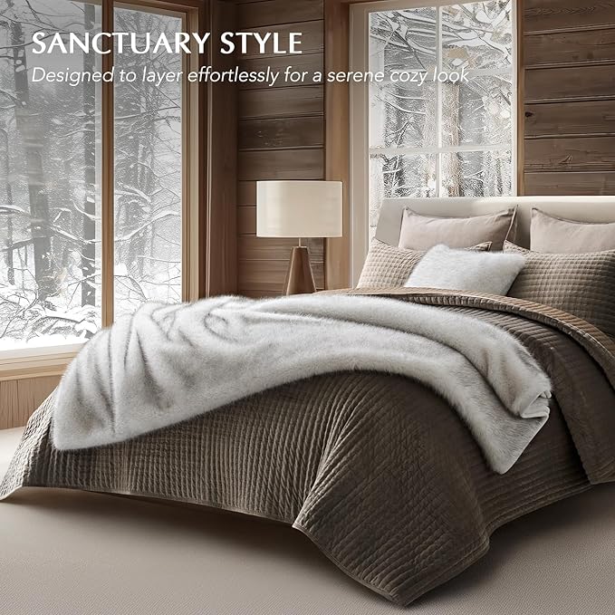 Luxury Faux Fur Throw Blanket, Soft Fluffy Faux Mink Blankets for Bed, Couch, Sofa, Thick Cozy Plush Warm Fur Throws with Reversible Velvet, Frosted White Wolf, 60"x80"-Ruum Studio Home