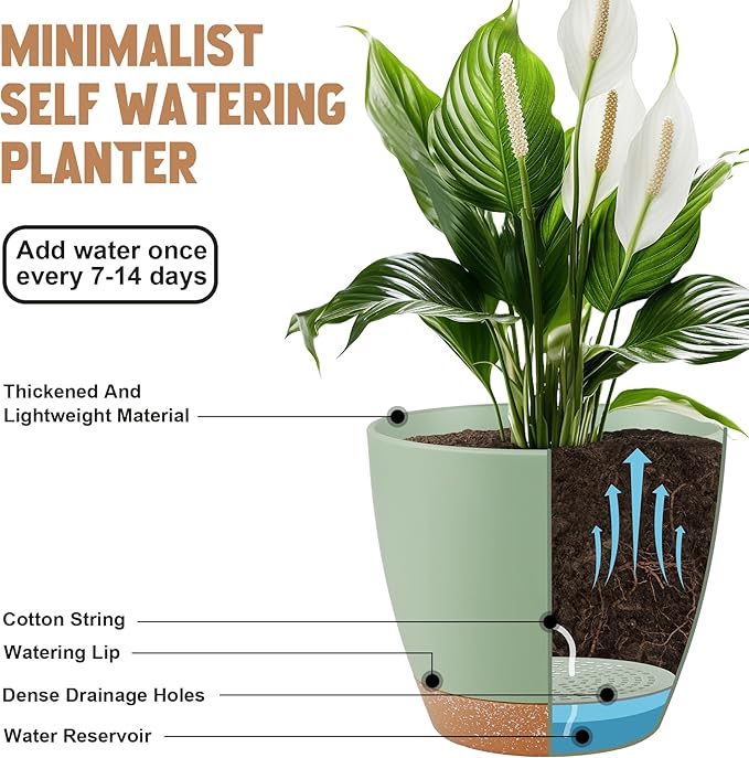 Plant Pots 8/7/6.5/6/5.5/5 Inch Self Watering Pots, Set of 6 Plastic Planters with Drainage Holes and Saucers,Plastic Flower Pots,Nursery Planting Pot for Indoor Out Door Plants（Green）-Ruum Studio Home