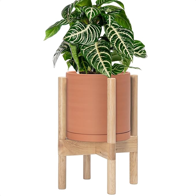 D'vine Dev Terracotta Planter with Natural Stand - 8 Inch Modern Round Flower Pot with Wood Planter Holder, Terracotta, 55-B-N-5-Ruum Studio Home