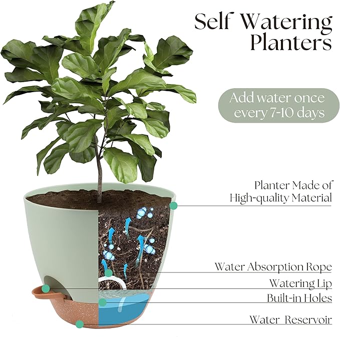 Giraffe Creation Plant Pots Set of 3 (12/10/9 inch), Self-Watering Indoor & Outdoor Flower Planters with Drainage Hole and Reservoir, Green-Ruum Studio Home