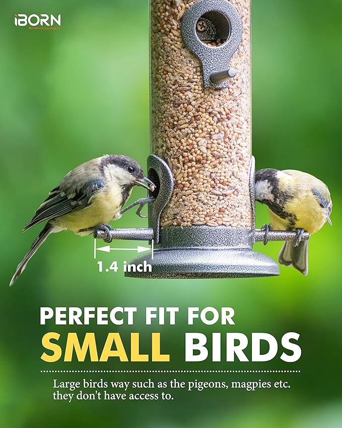 iBorn Metal Bird Feeder Hanging Wild Bird Seed Feeder for Mix Seed Blends Heavy Duty All Metal Silver Finish,14 Inch 6 Port(Seed is not Included)-Ruum Studio Home