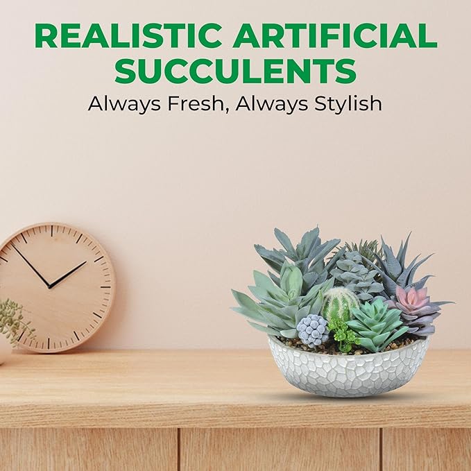 Premium Assorted Artificial Succulent Collection - Large Real Touch Artificial Cactus, Aloe Vera & Succulent Plants Artificial with Pots for Home Office Indoor (Artificial Glass - Pot)-Ruum Studio Home