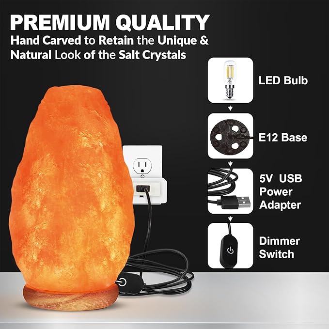 Himalayan Glow Salt Lamp with Dimmer Switch 5-7 lbs-Ruum Studio Home