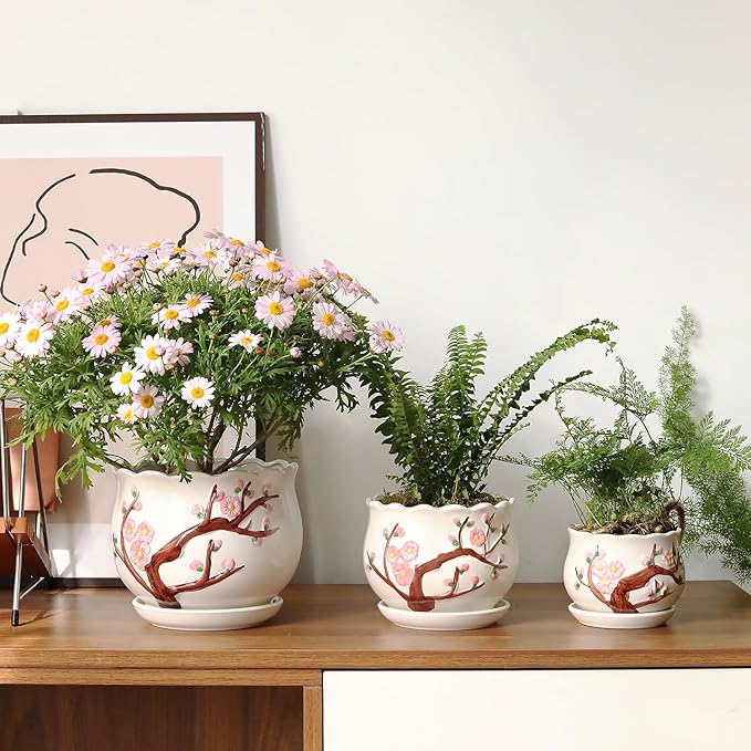 Ceramic Plant Pots with Drainage Holes and Saucers, Round Flower Pots for Indoor Plant, 3.9/5.2/6.7 Inches Small Flower Planters Set of 3-Ruum Studio Home