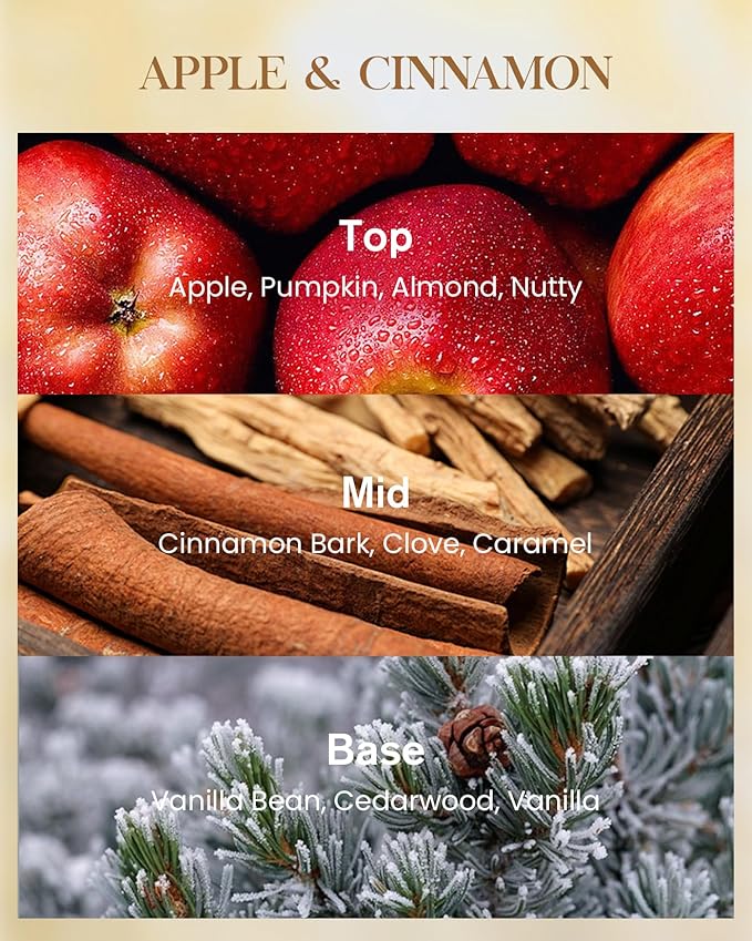 M&SENSE Apple Cinnamon Scented Candle 35oz 150H Burn Time Long Lasting, 3-Wick Natural Aromatherapy Candle Highly Scented, Home Fragrance Housewarming Gifts-Ruum Studio Home