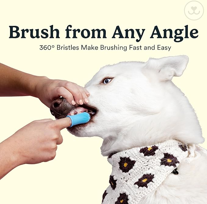Jasper Dog Toothbrush, 360º Dog Tooth Brushing Kit, Cat Toothbrush, Dog Teeth Cleaning, Dog Finger Toothbrush, Use with Dog Toothpaste - Clear 2-Pack-Ruum Studio Home
