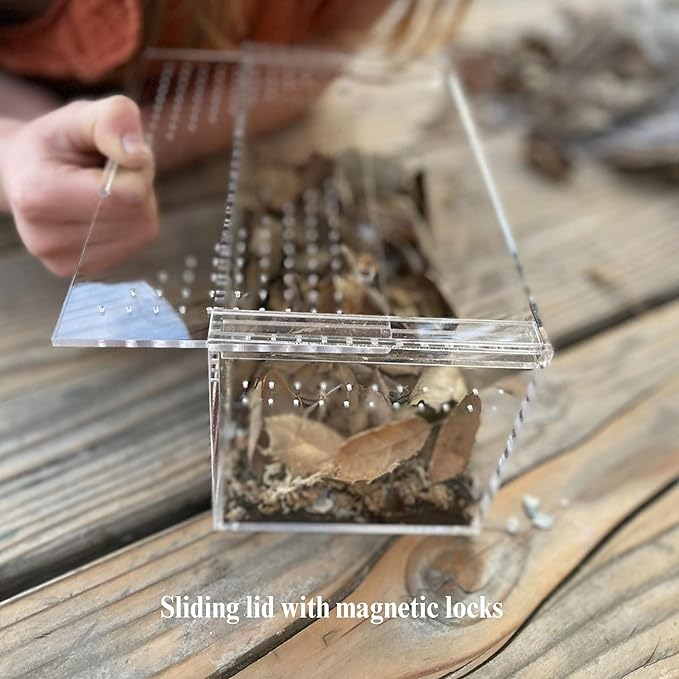 THE MASONRY | Acrylic Terrarium for Isopod Enclosure | 8"x4"x4" | Sling Tarantula Enclosure and Bug Tank | Small Spider Habitat | Terrarium Pre-Assembled with Magnetic Lock-Ruum Studio Home