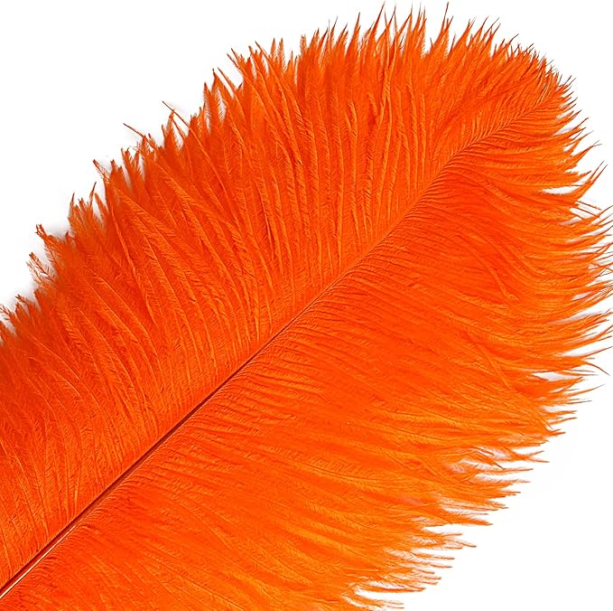 THARAHT Orange Ostrich Feathers 12pcs Large Natural Bulk 12-14Inch 30cm-35cm for Wedding Party Centerpieces Halloween and Home Decoration Feathers-Ruum Studio Home