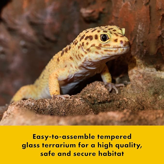 Zilla QuickBuild Reptile 65 Gallon Glass Terrarium Habitat with Sliding Door For Geckos, Snakes, Lizards, Frogs, Turtles, and Tortoises, 48" x 18" x 18"-Ruum Studio Home