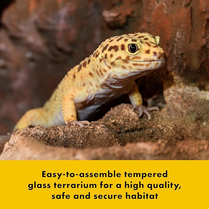 Zilla QuickBuild Reptile 40 Gallon Glass Terrarium Habitat with Swing Door For Geckos, Snakes, Lizards, Frogs, Turtles, and Tortoises, 36" x 18" x 18"-Ruum Studio Home