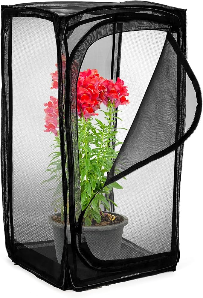 Kingrol 30-Inch Butterfly Habitat Cage, Large Pop-Up Mesh Terrarium with Zipper Opening, Portable & Collapsible Insect Enclosure for Caterpillars & Monarch Butterflies-Ruum Studio Home