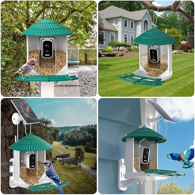 Bird Feeders for Outdoors, Smart Bird Feeder with Camera Solar Powered, AI Species Identification, 3K Video Live Stream Camera, 5Mp HD Night Vision, Instant Arrival Alerts (Light Green)-Ruum Studio Home