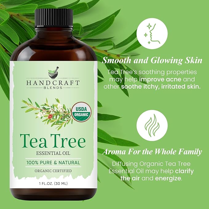 Handcraft Blends Organic Tea Tree Essential Oil – 1 Fl Oz – 100% Pure and Natural – Premium Grade Essential Oil for Diffuser and Aromatherapy-Ruum Studio Home