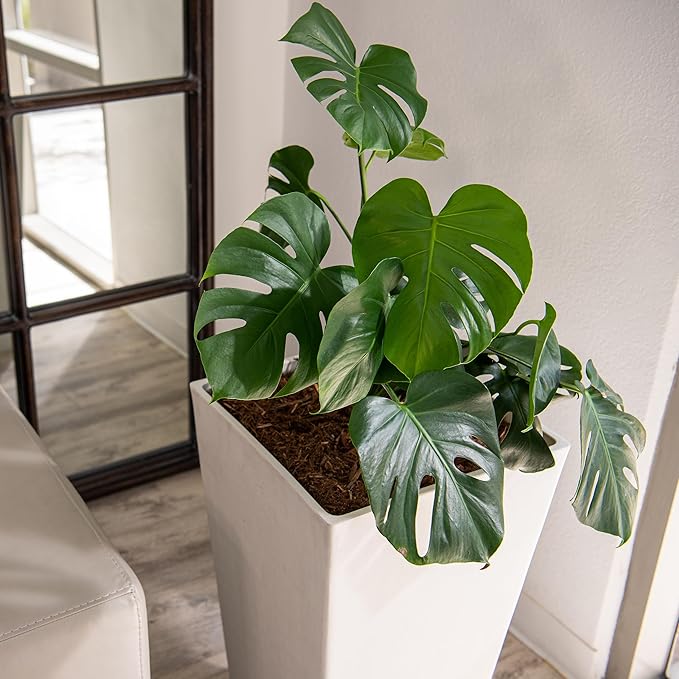 XBrand Modern 28-Inch Square Planter, Modern Tapered Planter Perfect for Indoor & Outdoor, Patio Décor, Set of 2-Ruum Studio Home