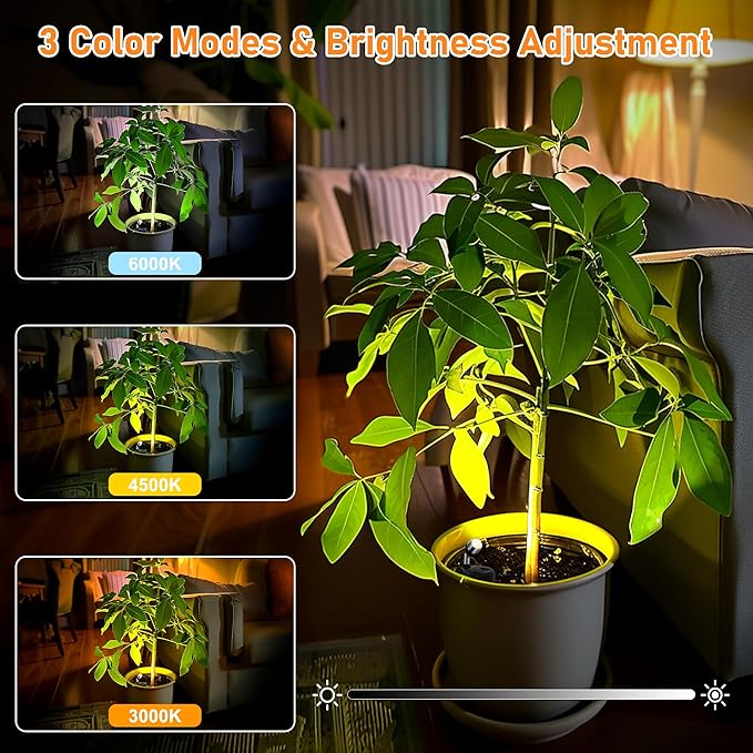 4 Pack Wireless LED Spotlights Indoor, Plant Battery Operated Tree Lights, Uplighting Picture Light with Remote, Accent Lights for Display Artwork Dartboard-Ruum Studio Home