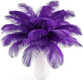 THARAHT Purple Ostrich Feathers 12pcs Natural Bulk 10-12Inch 25cm-30cm for Crafts Wedding Party Centerpieces Halloween and Decoration Feather-Ruum Studio Home