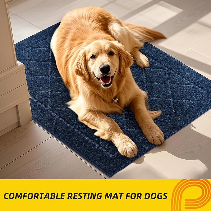 JSEI Dirt Trapper Door Mat 24"x36", Non-Slip Washable Entryway Mats, Dog Door Mat, Stain Resistant and Absorbent Floor Mats, Low Profile Welcome Mat for Front Back Door, Navy Blue-Ruum Studio Home