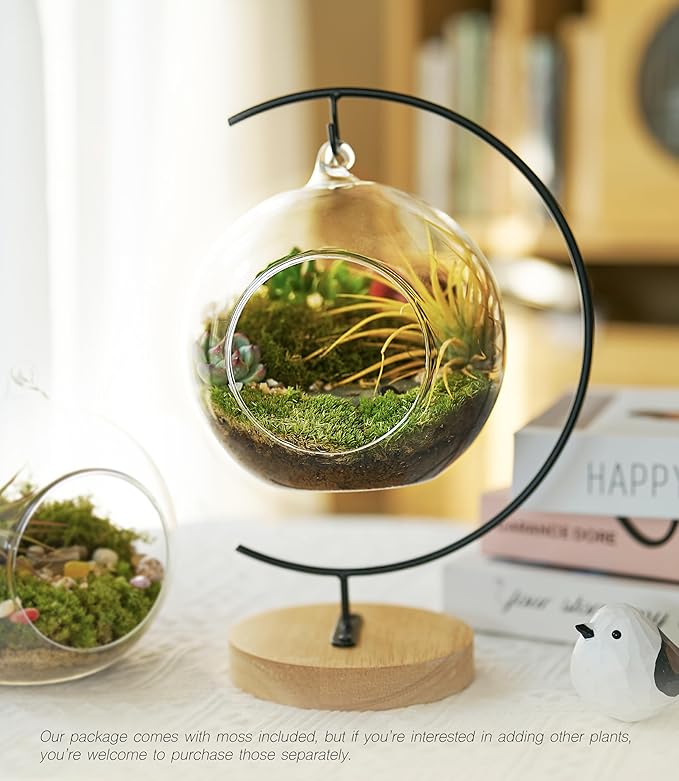 15-Piece Terrarium Kit with Live Moss – DIY Glass Globe Set with Tools, Soil, Stones & Spray Bottle – Indoor Mini Garden Gift for Plant Lovers, Home Decor & Zen Craft-Ruum Studio Home
