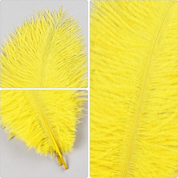 THARAHT Yellow Ostrich Feathers 12pcs Natural Bulk 8-10Inch 20cm-25cm for Crafts Wedding Party Centerpieces Halloween and Home Decoration Feathers-Ruum Studio Home