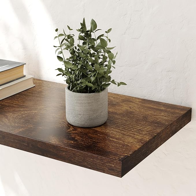 Wall Shelf Set of 2, Rustic Brown Floating Shelves 24 in W x 10 in D x 1 in H, Wooden Floating Wall Shelf with Invisible Brackets for Living Room/Bedroom/Bathroom/Kitchen Storage and Decor-Ruum Studio Home