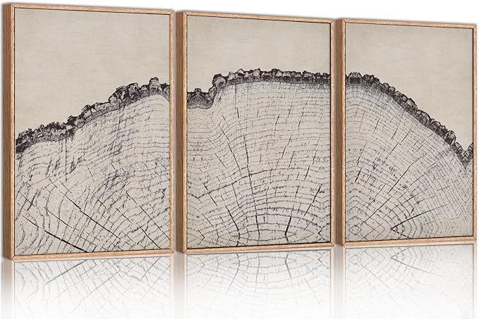 HPINUB Vintage Wood Tree Rings Wall Art Set, Framed Canvas Paintings, Black and White Nature-Inspired Decorative for Modern Home Decor for Living Room, Bedroom, Dining Room, Office- 16"x24"x3-Ruum Studio Home