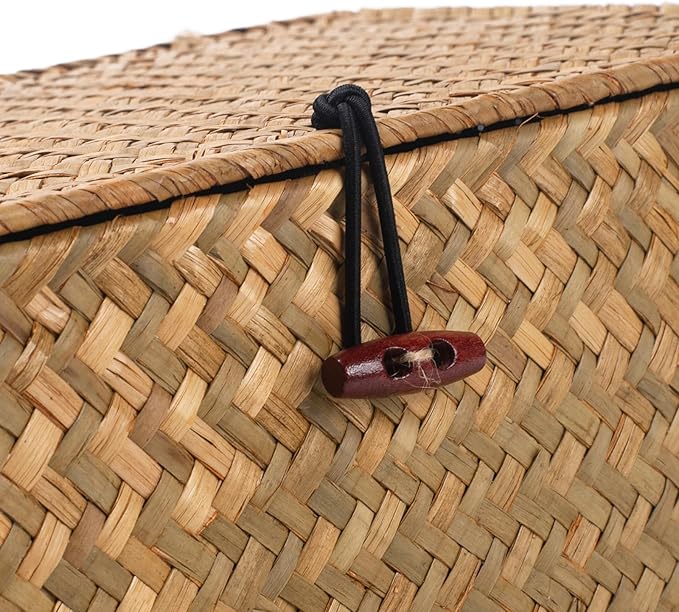Wicker Basket with Lid, Seagrass Storage Basket, Woven Baskets for Storage, Decorative Storage Baskets for Shelf Organizing, Natural-Ruum Studio Home