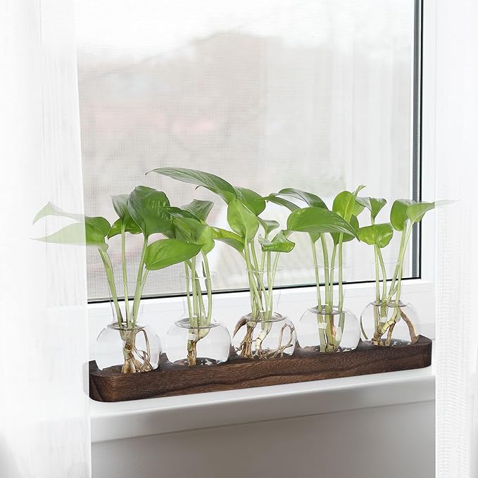 YIBOT Plant Propagation Stations,Glass Propagation Vases for Plants Terrarium with Wooden Tray Plant Lover Gifts for Propagating Hydroponic Plants Home Office Decor(5 Vase)-Ruum Studio Home
