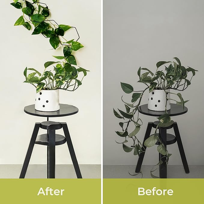 Chain Trellis for Climbing Plants - Indoor & Outdoor House Plant Accessories for Monstera, Pothos, Ivy, and More | Garden Wall Trellis and Plant Vine Support - Houseplant Accessories and Plant Gifts-Ruum Studio Home