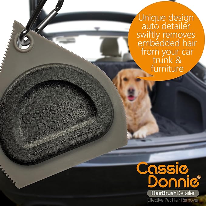 Mini Pet Hair Detailer, Pet Hair Remover for Carpet Couch Bedding Sofa, Car Interior Auto Detailing Supplies, Dog Cat Fur Reusable Brush for Furniture-Ruum Studio Home