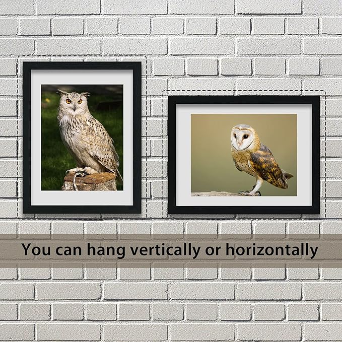 VCK 18x24 Poster Frames 3 Pack Black MDF Wood and Polished Plexiglass Frame,Display Pictures in Horizontal and Vertical-Ruum Studio Home